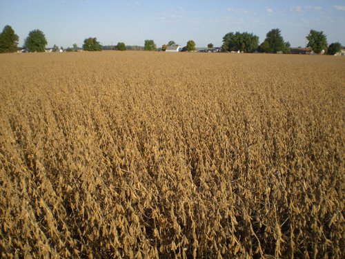 Property photo 38 - 75+/- Acres in 9 Tracts